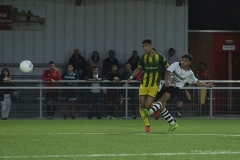 DelSel-ADO_016